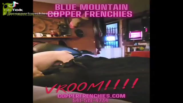 Video preview image #3  Breeder Profile in BAKER CITY, OR, USA