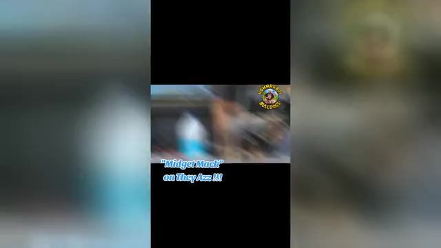 Video preview image #1 French Bulldog Puppy For Sale in CONYERS, GA, USA