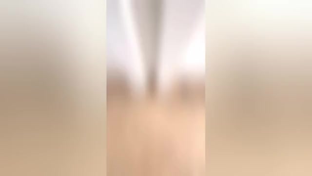 Video preview image #1  Breeder Profile in ORLANDO, FL, USA