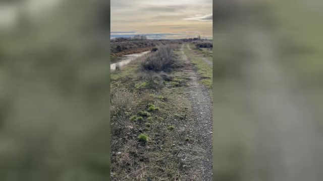 Video preview image #1 Belgian Malinois Puppy For Sale in EPHRATA, WA, USA