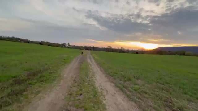 Video preview image #3 German Shepherd Dog Puppy For Sale in NEWVILLE, PA, USA