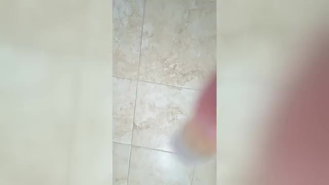 Video preview image #2 Maltese Puppy For Sale in CLERMONT, FL, USA