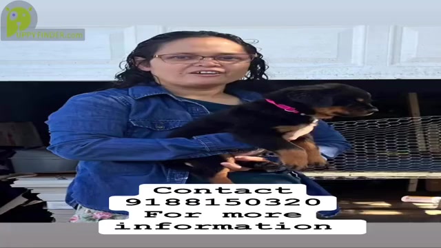 Video preview image #1  Breeder Profile in TULSA, OK, USA