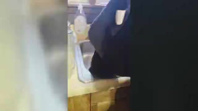 Video preview image #13 Pug Puppy For Sale in HILLSDALE, MI, USA