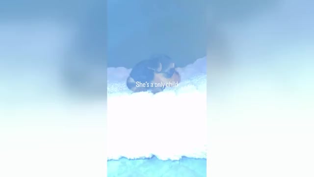 Video preview image #2 Yorkshire Terrier Puppy For Sale in FERNDALE, MI, USA