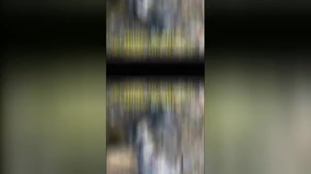 Video preview image #1 American Pit Bull Terrier Puppy For Sale in DELAWARE, OH, USA
