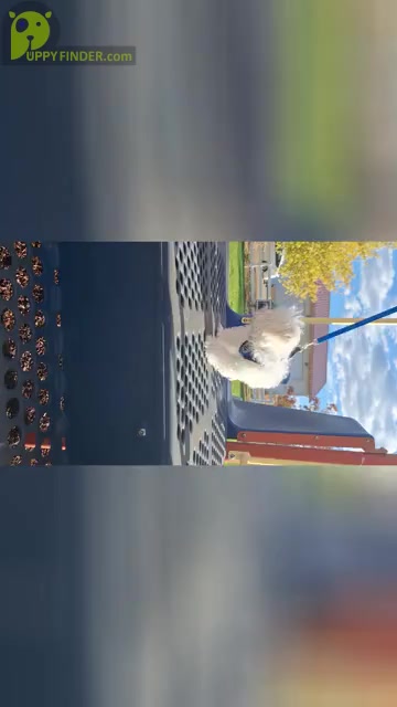 Video preview image #2  Breeder Profile in BEAR RIVER, WY, USA
