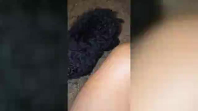 Video preview image #1 Poodle (Toy) Puppy For Sale in DYERSBURG, TN, USA