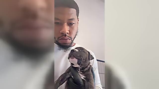 Video preview image #10  Breeder Profile in CHARLOTTE, NC, USA