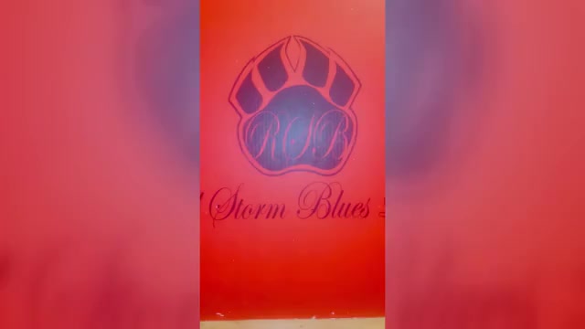 Video preview image #1 American Bully Puppy For Sale in TRENTON, NJ, USA