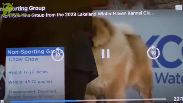Video preview image #4  Breeder Profile in PEABODY, KS, USA
