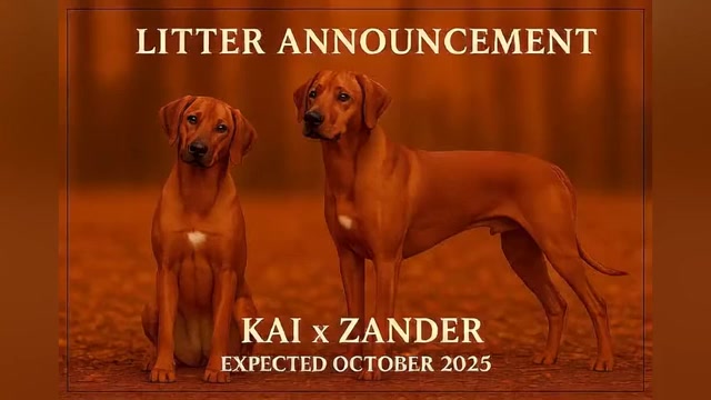 Video preview image #6  Breeder Profile in ONEIDA, TN, USA