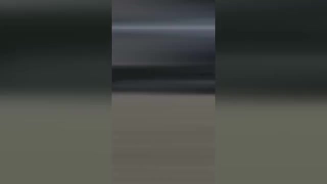 Video preview image #2  Breeder Profile in SAINT JOHN, IN, USA