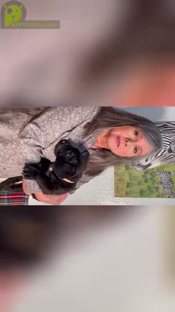 Video preview image #1  Breeder Profile in LOYALTON, CA, USA