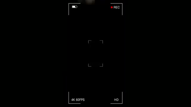 Video preview image #2  Breeder Profile in HIDALGO, IL, USA