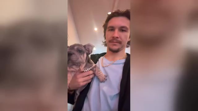 Video preview image #2 French Bulldog Puppy For Sale in POMONA, CA, USA