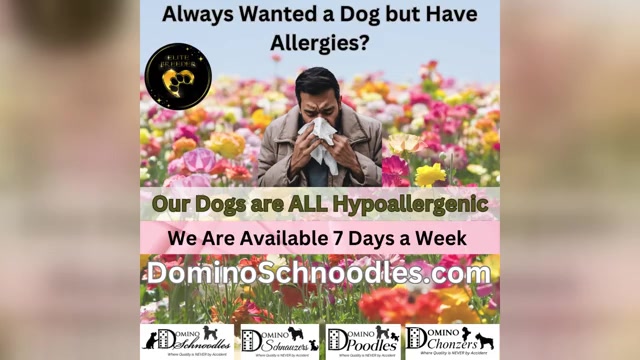 Video preview image #5  Breeder Profile in MORENO VALLEY, CA, USA