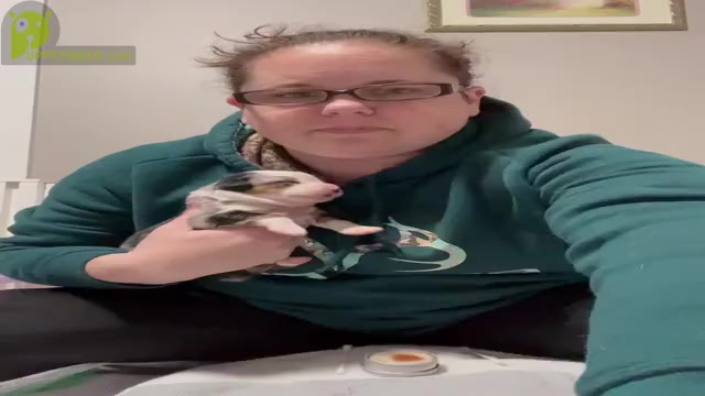 Video preview image #1  Breeder Profile in POST FALLS, ID, USA