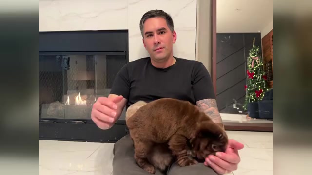 Video preview image #3 French Bulldog Puppy For Sale in SAN DIEGO, CA, USA