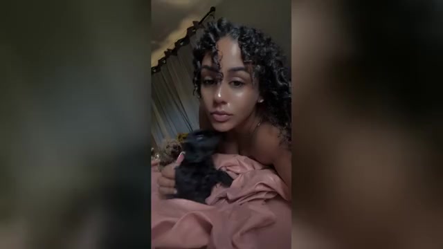 Video preview image #1 Cavapoo Puppy For Sale in MARIANNA, FL, USA