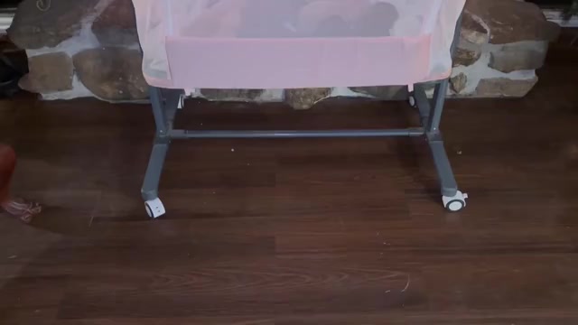 Video preview image #1 Poodle (Standard) Puppy For Sale in DEXTER, MO, USA