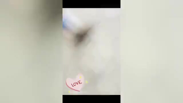 Video preview image #1 Cocker Spaniel Puppy For Sale in WARSAW, IN, USA