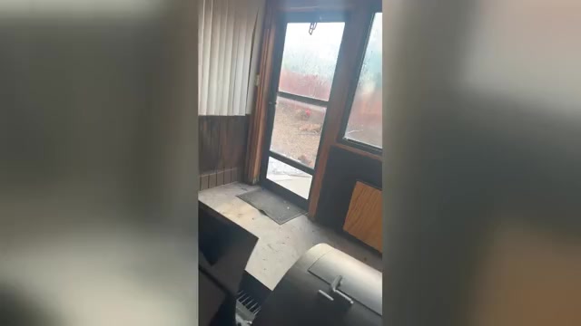 Video preview image #2  Breeder Profile in SAN ANTONIO, TX, USA