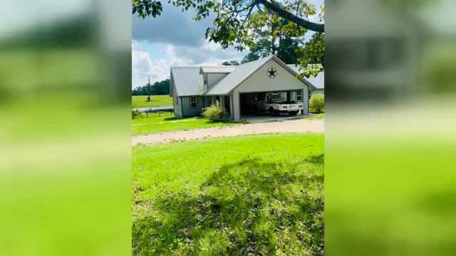 Video preview image #1 French Bulldog Puppy For Sale in RICHARDS, TX, USA
