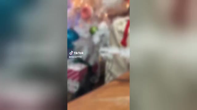 Video preview image #2 French Bulldog Puppy For Sale in UPPER MARLBORO, MD, USA