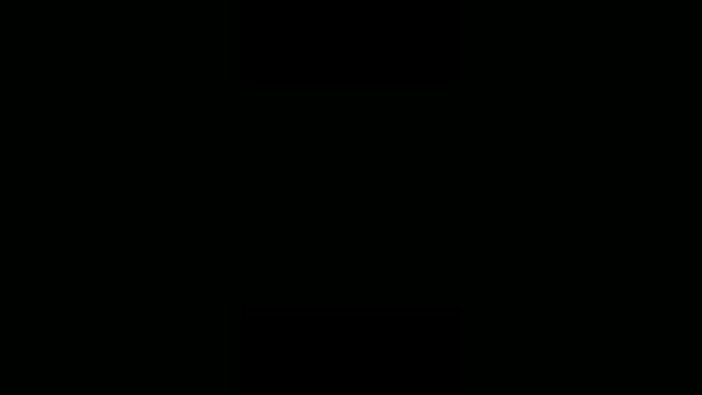 Video preview image #17 Yorkshire Terrier Puppy For Sale in WARSAW, IN, USA