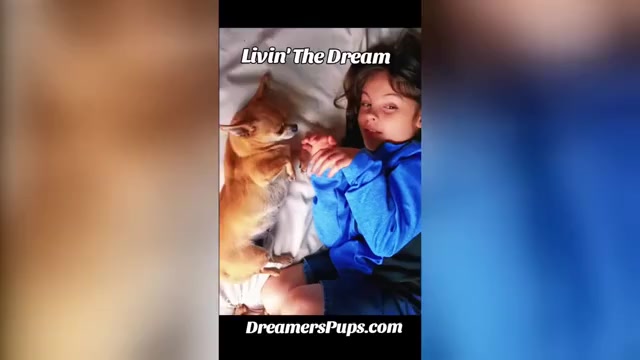 Video preview image #19  Breeder Profile in ADAMSVILLE, TN, USA