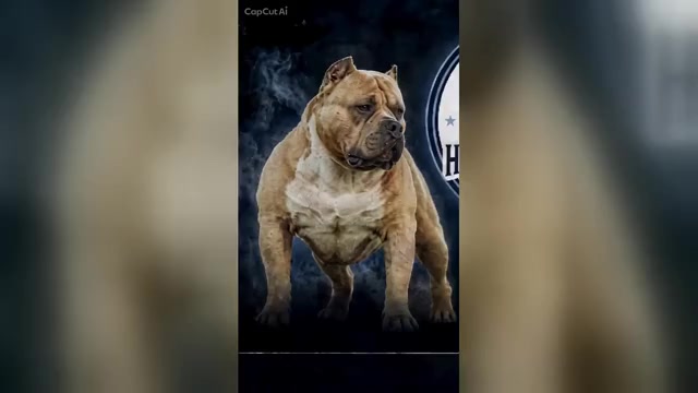 Video preview image #7  Breeder Profile in FORT MITCHELL, AL, USA