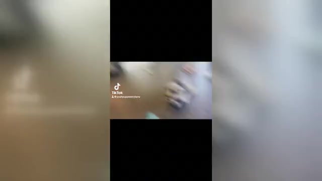 Video preview image #18 French Bulldog Puppy For Sale in WARSAW, IN, USA