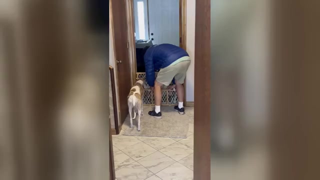 Video preview image #1  Breeder Profile in SOUTH SIOUX CITY, NE, USA