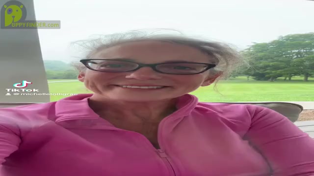 Video preview image #6  Breeder Profile in MILLS RIVER, NC, USA