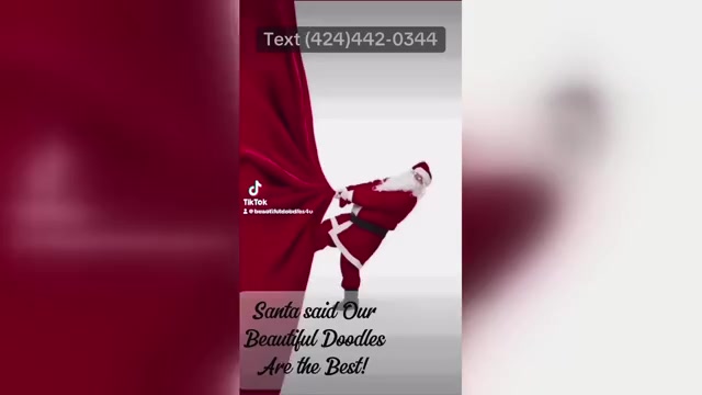 Video preview image #8  Breeder Profile in BAKERSFIELD, CA, USA