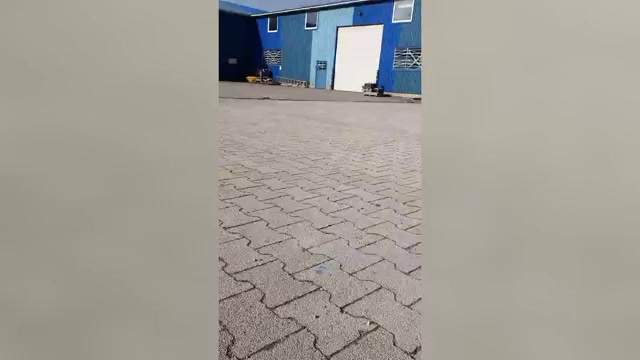 Video preview image #4 Schnauzer (Miniature) Puppy For Sale in Hatvan, Heves, Hungary