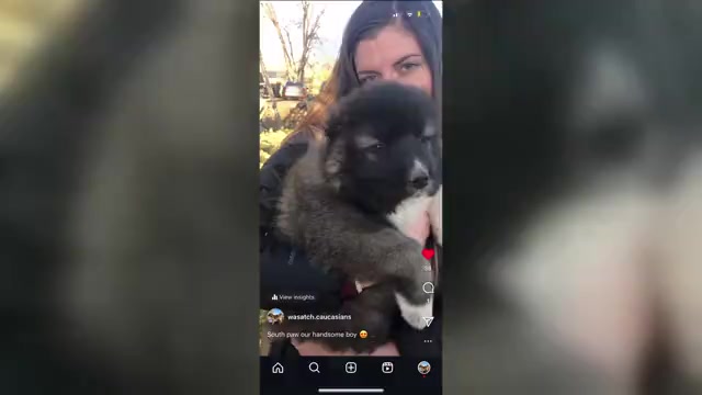 Video preview image #2  Breeder Profile in MOUNT PLEASANT, UT, USA