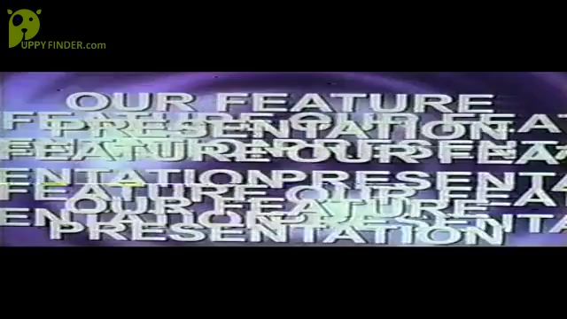 Video preview image #1 Doberman Pinscher Puppy For Sale in LONDON, KY, USA