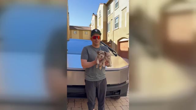 Video preview image #3 French Bulldog Puppy For Sale in SAN DIEGO, CA, USA