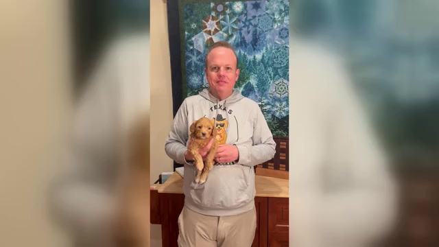 Video preview image #1 Aussiedoodle Miniature -Goldendoodle Mix Puppy For Sale in VICTORIA, TX, USA