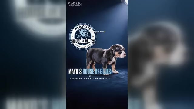 Video preview image #10  Breeder Profile in FORT MITCHELL, AL, USA