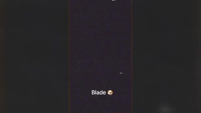 Video preview image #4  Breeder Profile in PORTSMOUTH, VA, USA