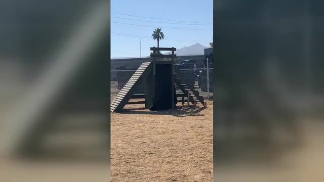 Video preview image #2  Breeder Profile in LAKE ELSINORE, CA, USA