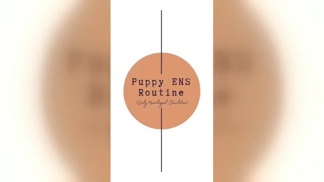 Video preview image #9  Breeder Profile in BAKERSFIELD, CA, USA