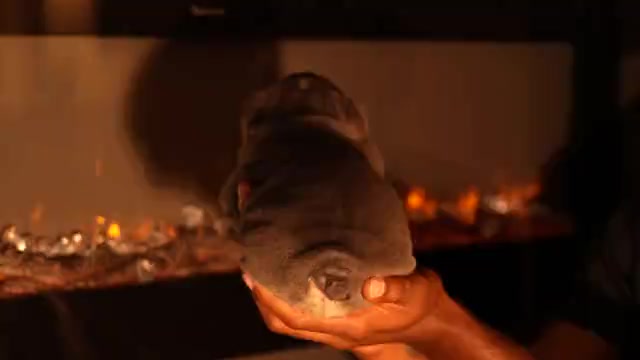 Video preview image #1  Breeder Profile in HOUSTON, TX, USA
