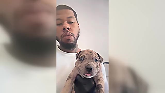 Video preview image #5  Breeder Profile in CHARLOTTE, NC, USA