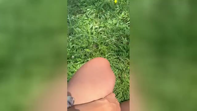 Video preview image #1 American Pit Bull Terrier Puppy For Sale in BROCKTON, MA, USA