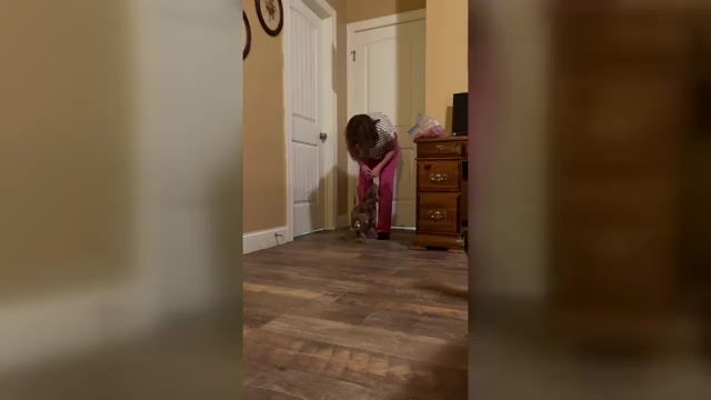 Video preview image #7  Breeder Profile in WESTFIELD, NC, USA