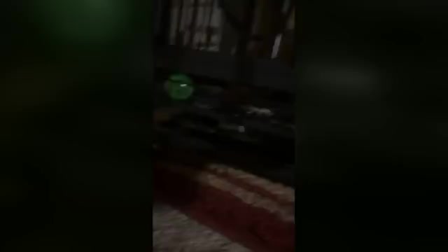 Video preview image #2 American Bully Puppy For Sale in WINSTON SALEM, NC, USA